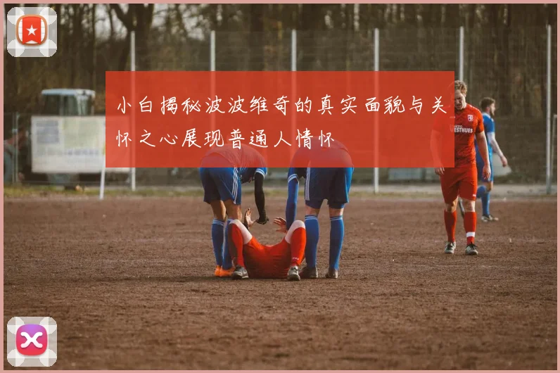 小白揭秘波波维奇的真实面貌与关怀之心展现普通人情怀